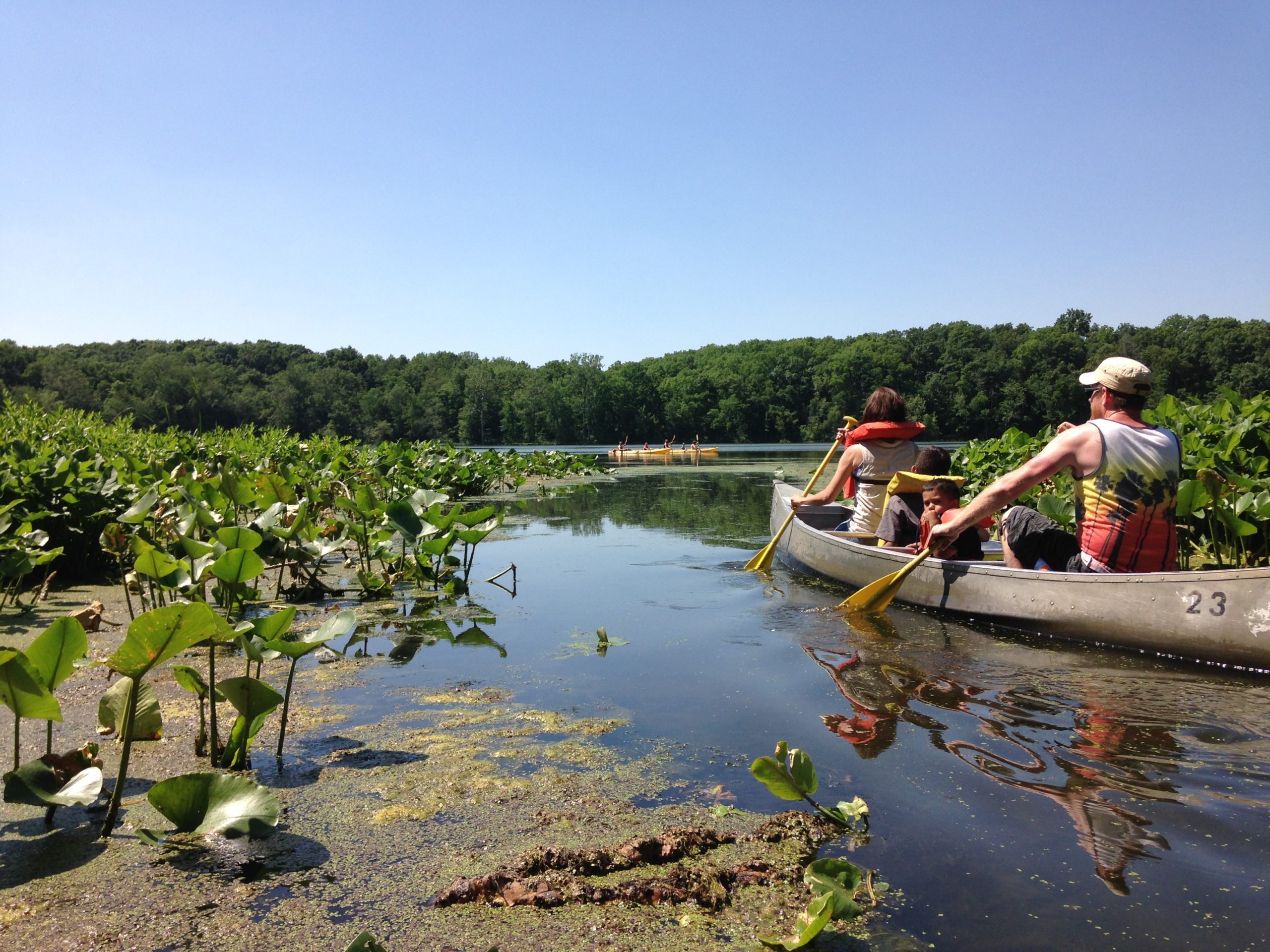 Photo courtesy of Chain O' Lakes State Park